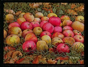 Durnitzhofer Apples，1993 作者 迪兹