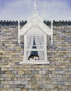 St.Helier多马猫 作者 迪兹