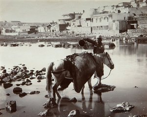 1880年代的饮水场