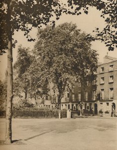 在寄宿土地：托林顿广场的平面树，c1935年。 作者 唐纳德·麦克利什