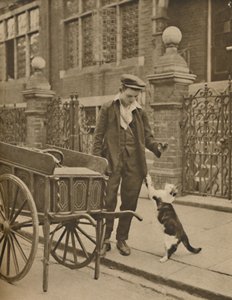 成立最完善的行业之一：一位顾客和猫肉人，c1935年。 作者 唐纳德·麦克利什