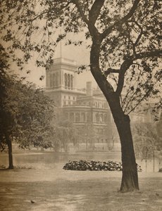 圣詹姆斯公园和望向外交部的湖泊，建于1935年。 作者 唐纳德·麦克利什