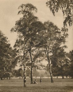 叶子的花边工作：一个夏日早晨，海德公园，c1935年。 作者 唐纳德·麦克利什