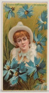矢车菊：谦虚，来自《花之美和花之语》系列的N75，为Duk...，1892。