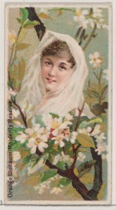 橙花：少女的矜持，来自于《花之美和花之语》系列......，1892年。