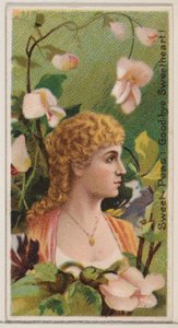 甜蜜的豌豆：再见，甜心！，出自《花之美和花之语》系列......，1892年。