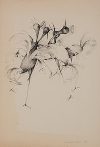 鸟类 作者 多纳泰拉·梅洛
