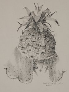 菠萝 作者 多纳泰拉·梅洛