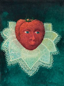 草莓男爵夫人 作者 多纳泰拉·梅洛
