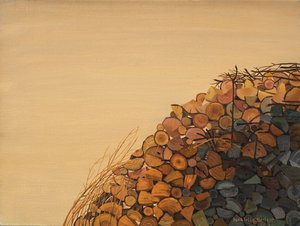 木制城堡 作者 多纳泰拉·梅洛