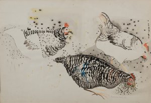 三只鸡 作者 多纳泰拉·梅洛