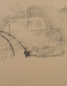 透明胶片 作者 多纳泰拉·梅洛