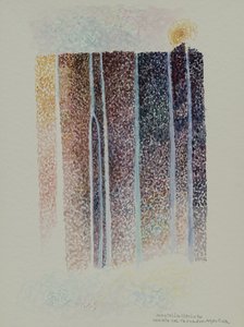 阿根廷特罗纳多瀑布