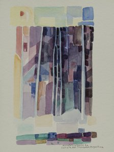 特罗纳多瀑布二期（阿根廷）