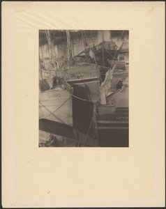 [港口，帆桅渔船云集] 作者 多丽丝·乌尔曼（Doris Ulmann）