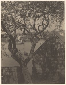 港口场景，可能是马萨诸塞州格洛斯特市 作者 多丽丝·乌尔曼（Doris Ulmann）