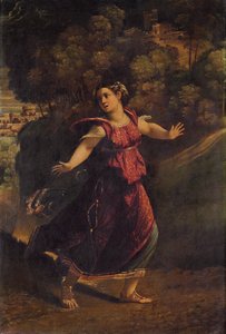 1520年代，一名妇女逃离林间小径 作者 多索·多西