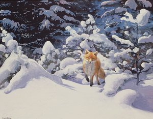 深雪中的狐狸与杉树