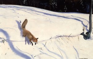 狐狸从雪堆上一跃而下