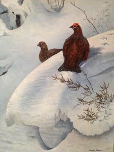 雪中松鸡，约 1985 年（布面油画） 作者 道格拉斯·安德森