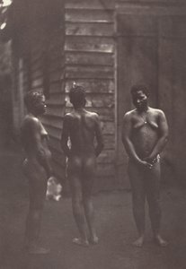 三个马达加斯加妇女（图版 30），1863 年（照片）