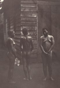三位马达加斯加妇女板块30，1863年。