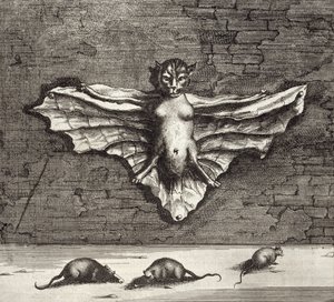 被称为飞行猫的蝙蝠，来自中国，由Athanasius Kircher（1601-80）1667画报 作者 荷兰学校
