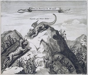 江西省一座山被称为龙与虎的山，来自中国的Athanasius Kircher（1601-80）1667 作者 荷兰学校