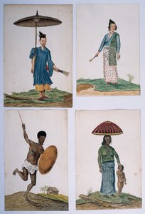 取自巴西，非洲，波斯和东印度人的专辑 作者 荷兰学校