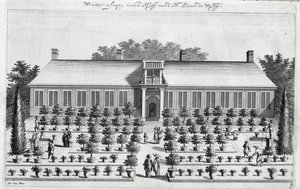 荷兰花园，由Jan Commelin于De Nederlandze Hesperides出版，于1676年出版 作者 荷兰学校