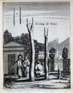 石灰和橘子树，来自De Nederlandze Hesperides，由Jan Commelin于1676年出版 作者 荷兰学校