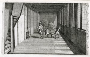 1676年出版的Jan Commelin的De Nederlandze Hesperides将树木搬进了花园 作者 荷兰学校