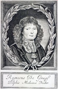 Regnier de Graaf，c.1670 作者 荷兰学校
