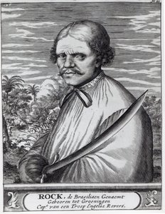 摇滚巴西 作者 荷兰学校