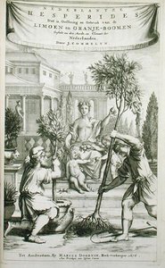 扬-康梅林的《De Nederlandze Hesperides》扉页，1676年出版（雕刻）。 作者 荷兰学校