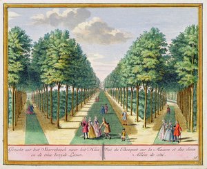 从Het Zegenpralent Kennemerlant，Hendrick de Leth和Matthias Brouerius Van Nidek出版的房屋和两条大道的木材景观，出版于17-17-1730 作者 荷兰学校