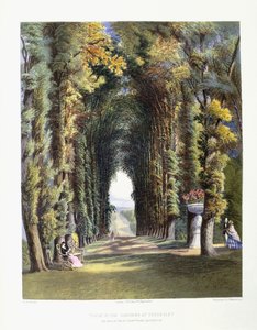 Vista”，在泰德斯利花园，正确的尊贵的哈瑟顿勋爵所在地，1857年 作者 E.Adveno布鲁克
