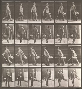 动物运动。对动物运动的......电子照相调查。开始...，19世纪80年代。 作者 爱德沃德·迈布里奇