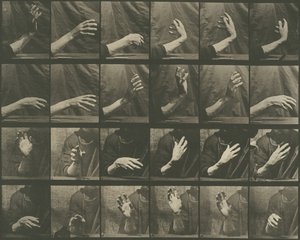 动物运动》，图版535，1887年。 作者 爱德沃德·迈布里奇