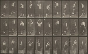 板块编号504。上下楼梯，1887年。 作者 爱德沃德·迈布里奇
