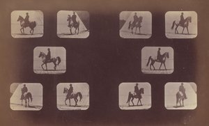 前瞻性的研究。马。走路。马赫米特。第119-120号，1879年。 作者 爱德沃德·迈布里奇