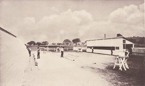 瞬时摄影所显示的运动中的马。附有关于动物的研究..., 1881-1882. 作者 爱德沃德·迈布里奇