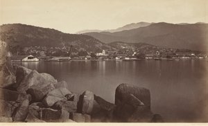 1877 年，阿卡普尔科（照片） 作者 爱德沃德·迈布里奇