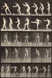 动物运动（板 300）（人踢球） 作者 爱德沃德·迈布里奇