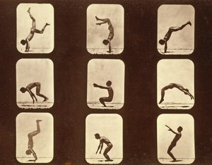 运动员。翻盖 "动物运动 "系列，约1881年（黑白照片）。 作者 Eadweard Muybridge