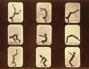 运动员。来自&39;动物运动&39;系列的不规则，c.1881 作者 Eadweard Muybridge