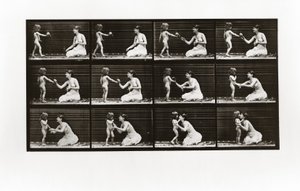 孩子把花束带给一个女人，1887年动物运动板465 作者 爱德沃德·迈布里奇