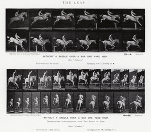 Eadweard Muybridge: The Leap (b/w photo) 作者 爱德沃德·迈布里奇