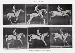 穆布里奇（Eadweard Muybridge）。飞跃》（黑白照片 作者 爱德沃德·迈布里奇