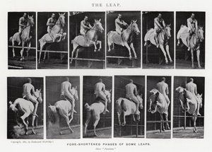 穆布里奇（Eadweard Muybridge）。飞跃》（黑白照片 作者 爱德沃德·迈布里奇